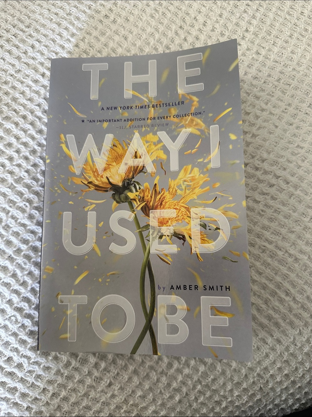 The Way I Used To Be by Amber Smith